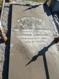 image of grave number 897106